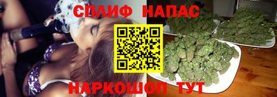 молекула духа Заводоуковск