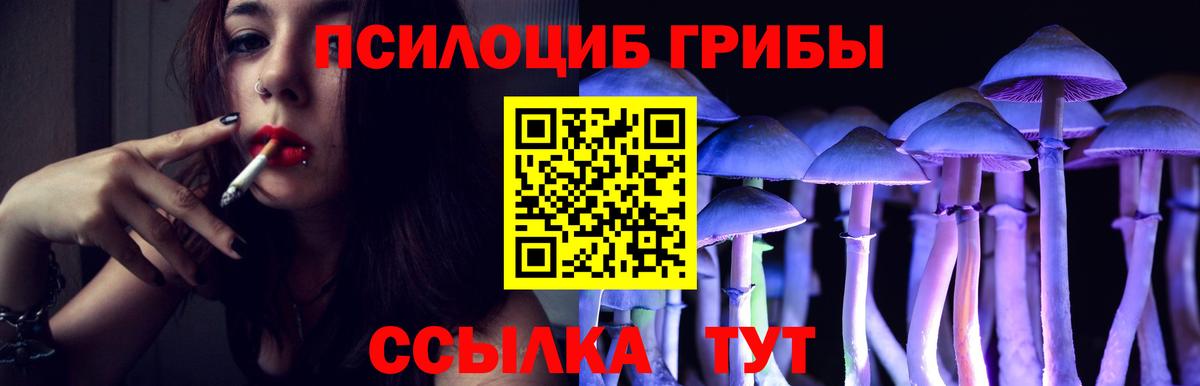 Галлюциногенные грибы Psilocybe  Галлюциногенные грибы GOLDEN TEACHER  Киреевск  Вход с VPN 