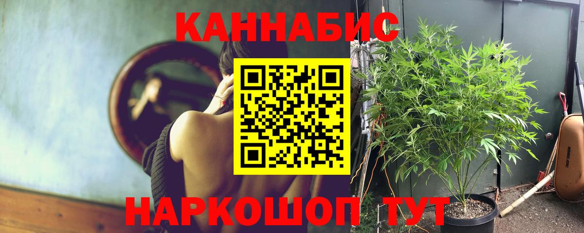 Марихуана THC 21%  Бошки марихуана планчик  Вход с VPN  Бошки марихуана MAZAR  Каннабис THC 21%  Киреевск 
